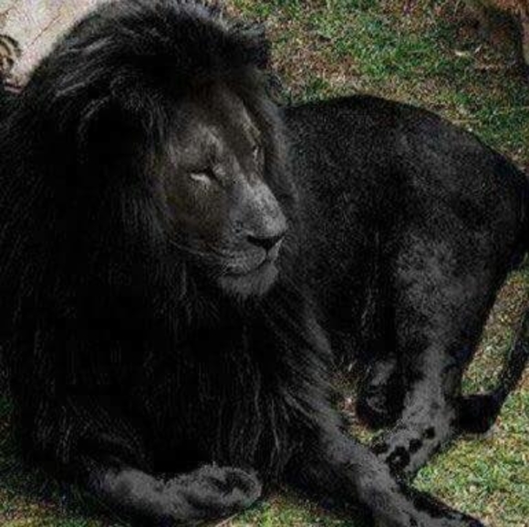 Meet your Posher, Marko - Picture 1 of 1